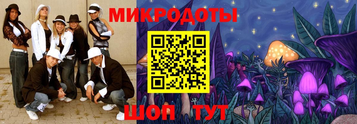 Псилоцибиновые грибы мицелий Кузнецк